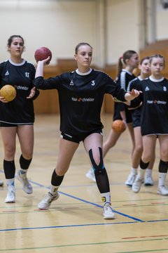 Bild 165 - wBJ TSV Ellerau - HSG Stoertal Hummeln : Ergebnis: 26:19